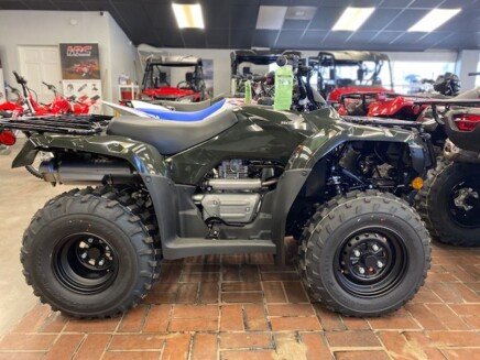 Photo 1 for New 2025 Honda FourTrax Recon