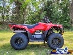 Thumbnail Photo 4 for New 2025 Honda FourTrax Recon ES