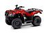 New 2025 Honda FourTrax Recon