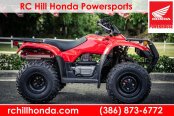 New 2025 Honda FourTrax Recon ES