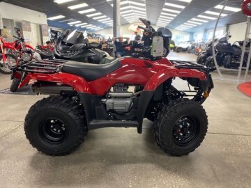 New 2025 Honda FourTrax Recon ES