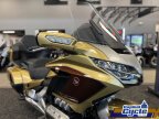 Thumbnail Photo 1 for New 2025 Honda Gold Wing Tour Automatic DCT