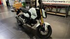 Thumbnail Photo 1 for New 2025 Honda Grom