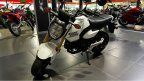 Thumbnail Photo 3 for New 2025 Honda Grom