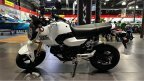 Thumbnail Photo 4 for New 2025 Honda Grom