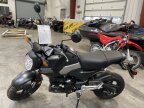 Thumbnail Photo 5 for New 2025 Honda Grom