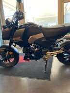 Thumbnail Photo 3 for New 2025 Honda Grom