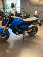 Thumbnail Photo 2 for New 2025 Honda Grom