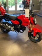 Thumbnail Photo 3 for New 2025 Honda Grom