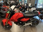Thumbnail Photo 2 for New 2025 Honda Grom