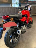 Thumbnail Photo 5 for New 2025 Honda Grom