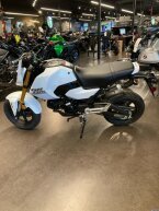 Thumbnail Photo 4 for New 2025 Honda Grom