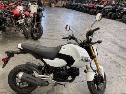Photo 1 for New 2025 Honda Grom