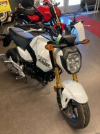 Thumbnail Photo 5 for New 2025 Honda Grom