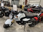 Thumbnail Photo 1 for New 2025 Honda Grom
