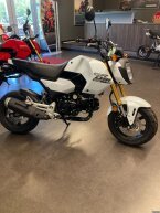 Thumbnail Photo 2 for New 2025 Honda Grom