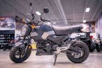 Thumbnail Photo 1 for New 2025 Honda Grom