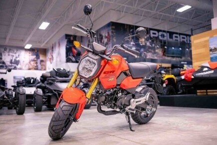 Photo 1 for New 2025 Honda Grom