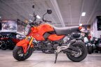 Thumbnail Photo 1 for New 2025 Honda Grom