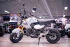 Thumbnail Photo 1 for New 2025 Honda Grom
