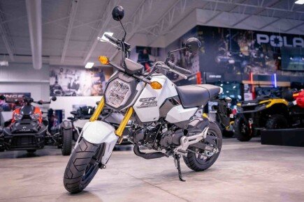Photo 1 for New 2025 Honda Grom