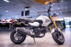 Thumbnail Photo 5 for New 2025 Honda Grom