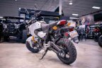 Thumbnail Photo 2 for New 2025 Honda Grom