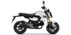 Thumbnail Photo 4 for New 2025 Honda Grom