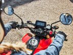 Thumbnail Photo 1 for New 2025 Honda Grom