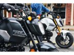 Thumbnail Photo 4 for New 2025 Honda Grom