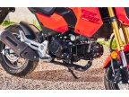 Thumbnail Photo 2 for New 2025 Honda Grom
