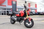Thumbnail Photo 1 for New 2025 Honda Grom