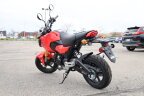 Thumbnail Photo 2 for New 2025 Honda Grom