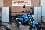 Thumbnail Photo 1 for New 2025 Honda Grom