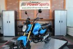 Thumbnail Photo 3 for New 2025 Honda Grom