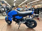 Thumbnail Photo 3 for New 2025 Honda Grom