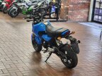 Thumbnail Photo 5 for New 2025 Honda Grom
