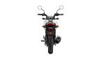 Thumbnail Photo 3 for New 2025 Honda Grom