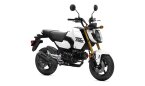 Thumbnail Photo 2 for New 2025 Honda Grom
