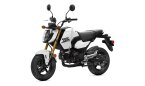 Thumbnail Photo 4 for New 2025 Honda Grom