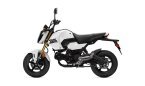 Thumbnail Photo 5 for New 2025 Honda Grom
