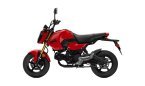 Thumbnail Photo 6 for New 2025 Honda Grom