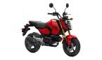 Thumbnail Photo 3 for New 2025 Honda Grom