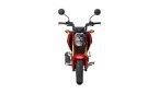 Thumbnail Photo 4 for New 2025 Honda Grom