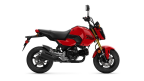 Thumbnail Photo 2 for New 2025 Honda Grom