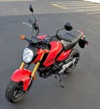 Thumbnail Photo 1 for New 2025 Honda Grom