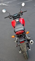 Thumbnail Photo 4 for New 2025 Honda Grom