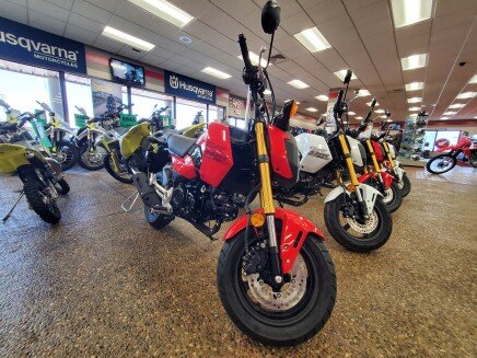 Photo 1 for New 2025 Honda Grom