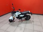 Thumbnail Photo 1 for New 2025 Honda Grom