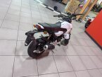 Thumbnail Photo 4 for New 2025 Honda Grom